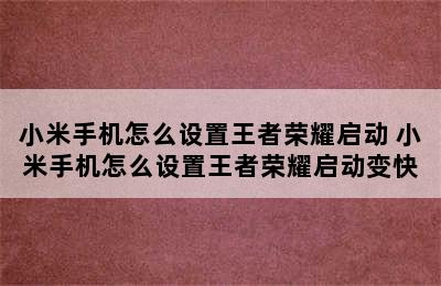 小米手机怎么设置王者荣耀启动 小米手机怎么设置王者荣耀启动变快